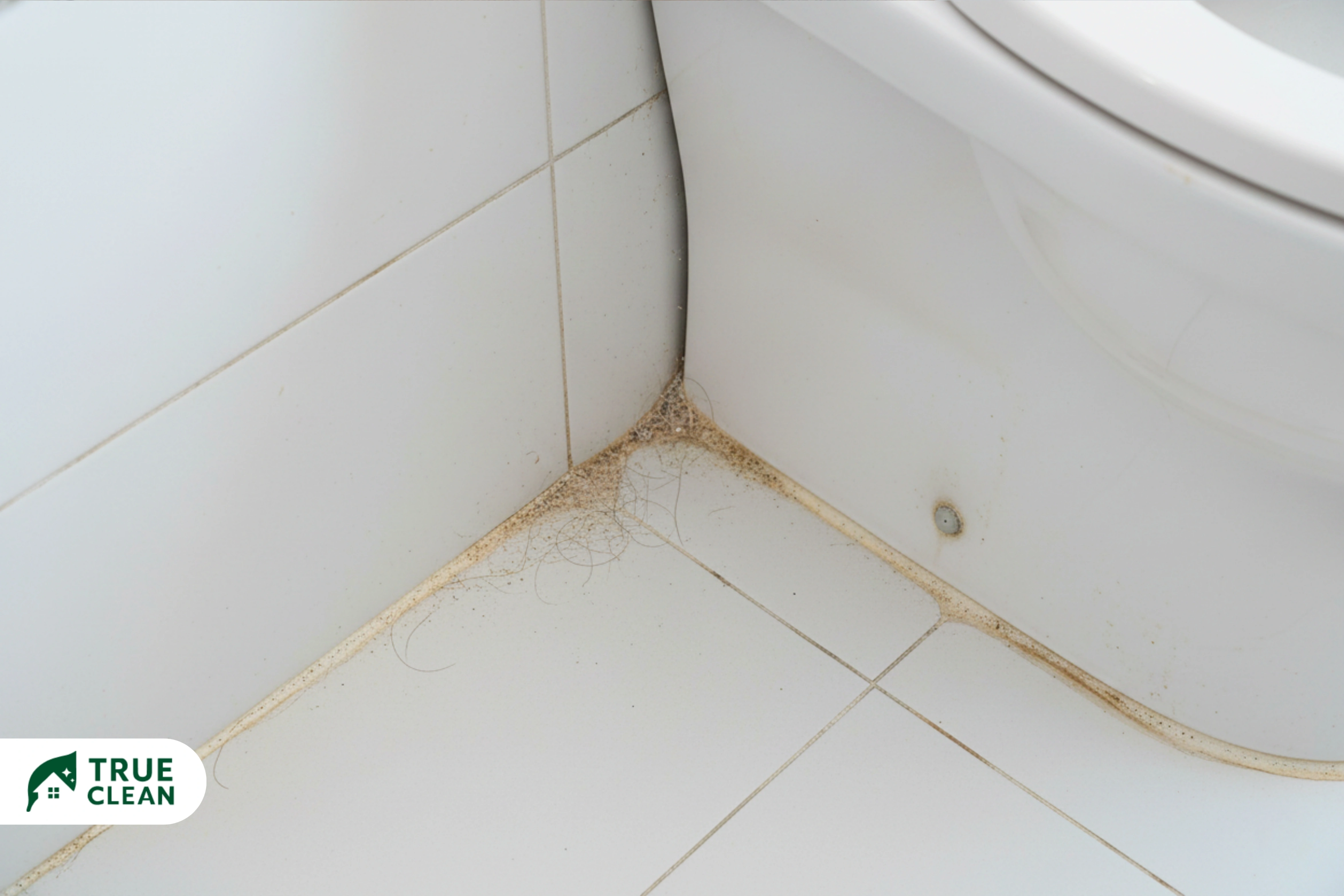 Professional bathroom cleaning for better home health